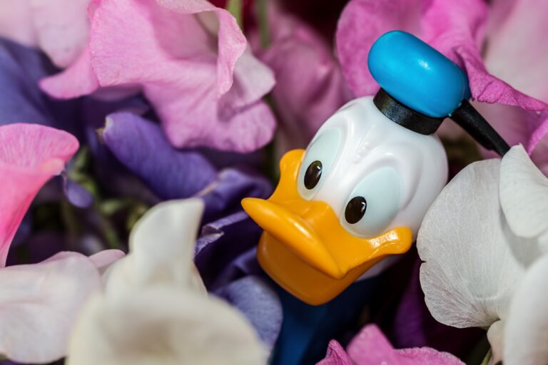 Fêtes, déco et accessoires