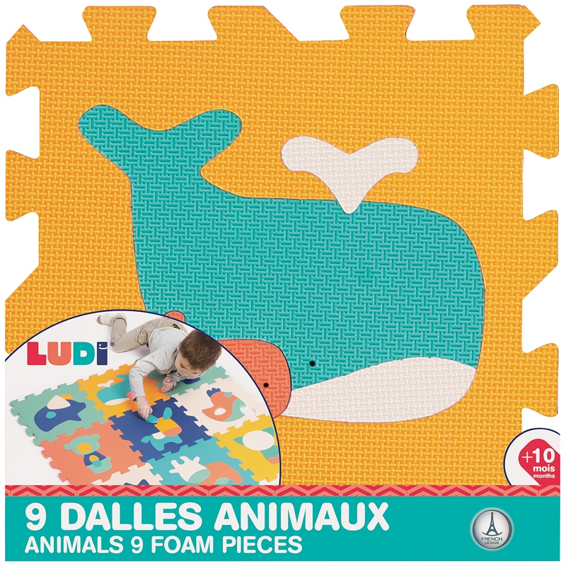 9 dalles animaux ludi