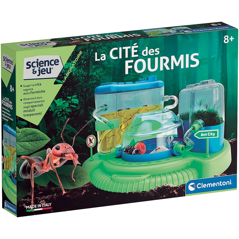 Le monde des fourmis