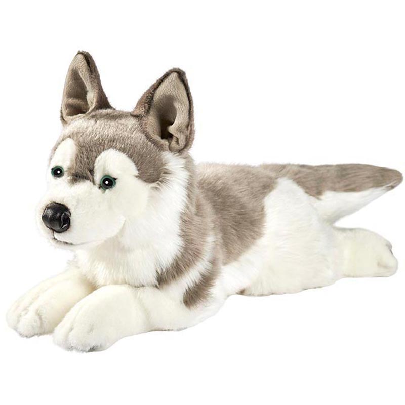 Husky couché 42 cm