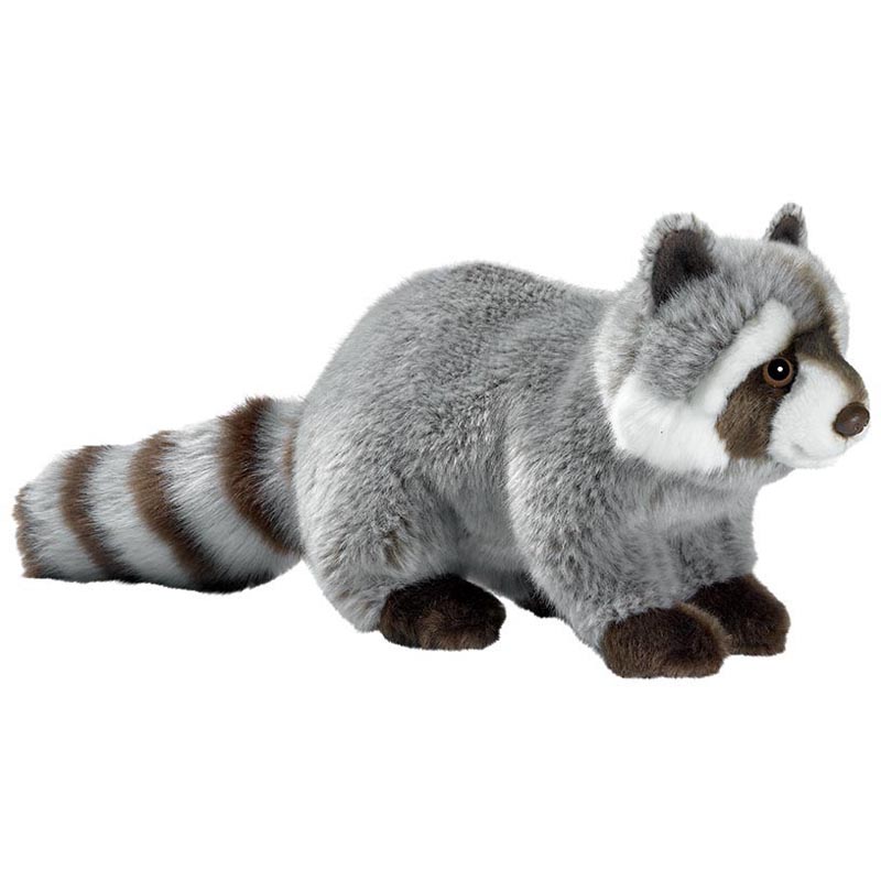 Raton laveur 25 cm