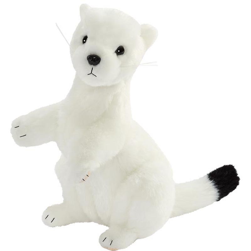 Hermine blanche dressée 23 cm