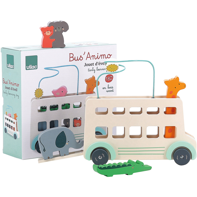 Bus animo sarah betz