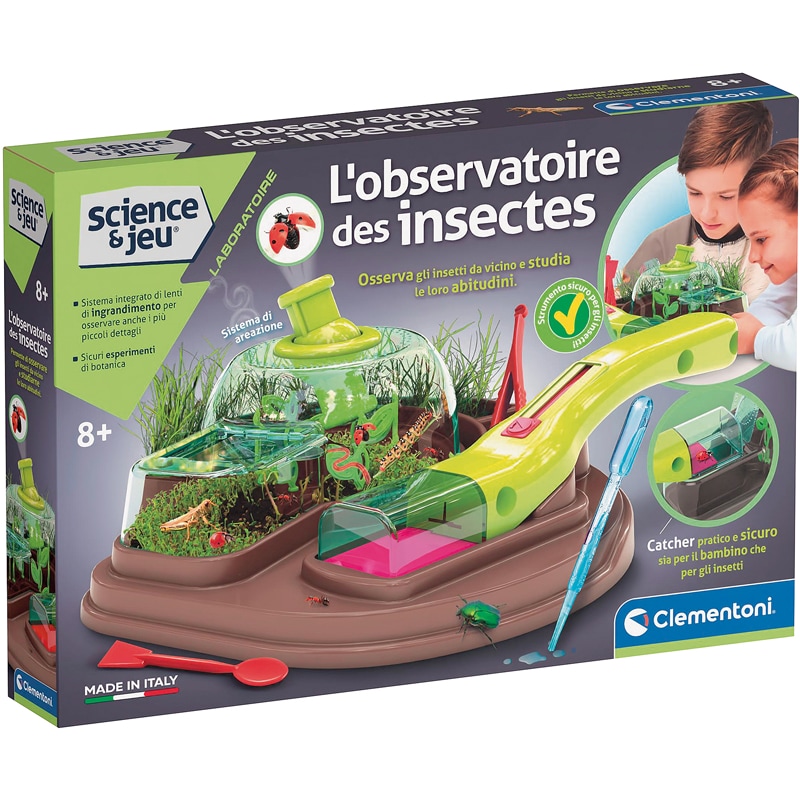 Observatoire insectes