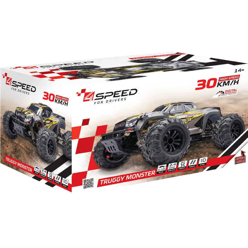 Véhicule 1/16 radio-commandé exost truggy monst
