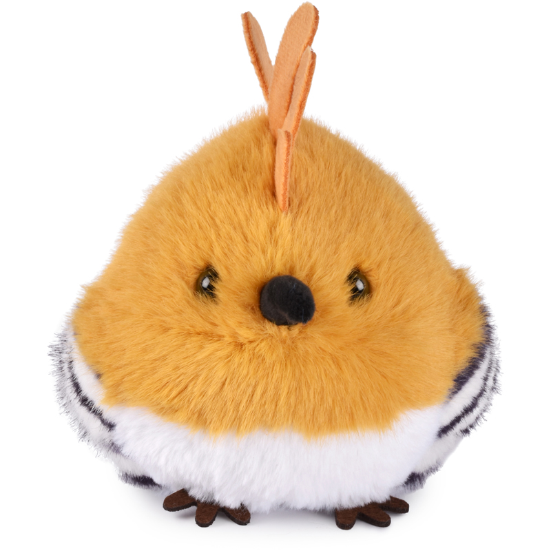 Peluche cui cui paradis kiwi